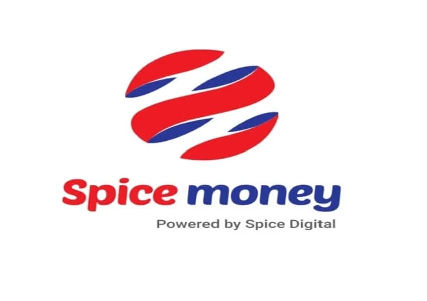 Agent banking network